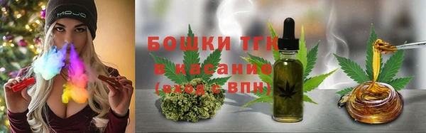 гашик Аркадак