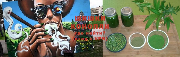 гашик Аркадак