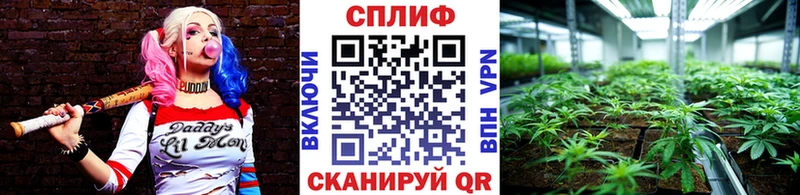 Купить закладки  Нелидово  Каннабис индика 